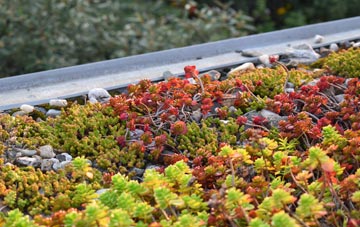 the cost of Heath green roof installation