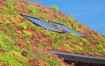 Heath living roof systems