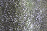 Heath fibreglass roof work